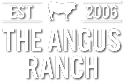 Angus Ranch logo